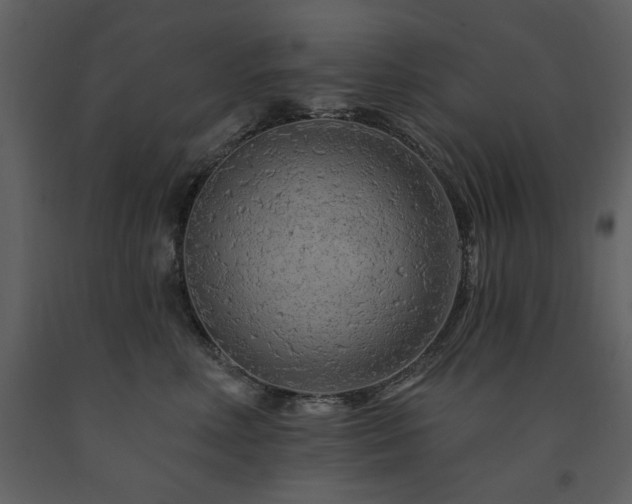 X0000091670618200708231331