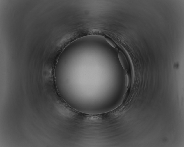 X0000091670619200708231331