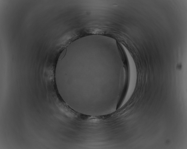 X0000091670620200708231330