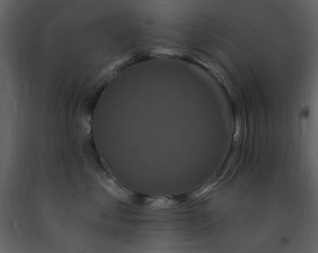 X0000091670621200708231330