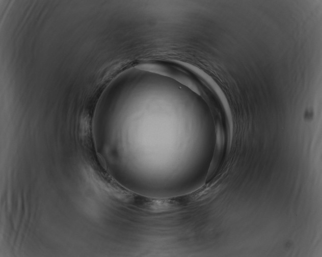 X0000091670623200708231330