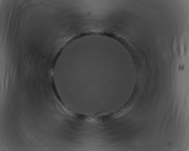 X0000091670624200708231330