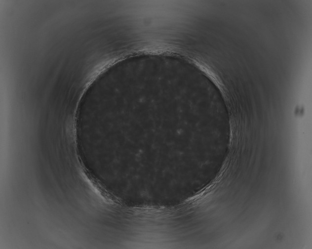 X0000091670626200708231330