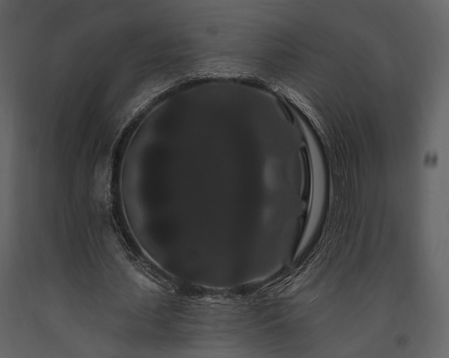 X0000091670627200708231330
