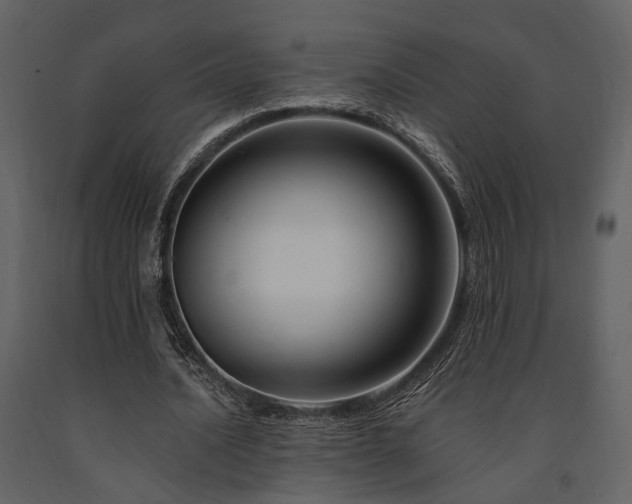 X0000091670628200708231330