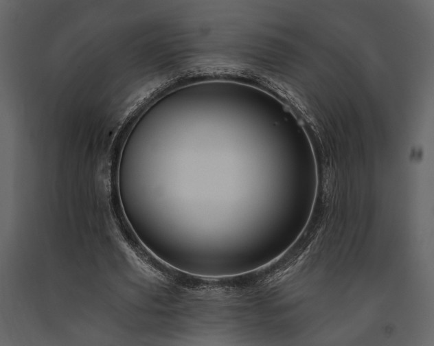 X0000091670629200708231330