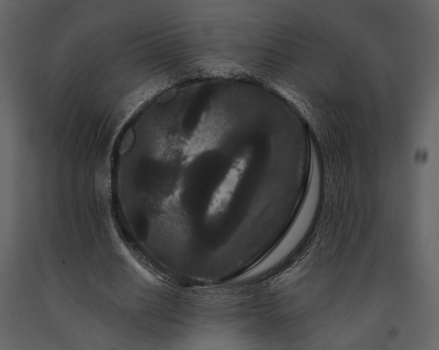 X0000091670630200708231330