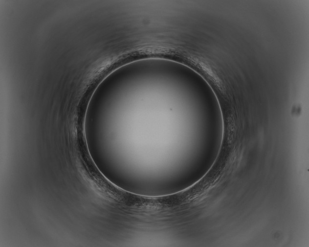X0000091670631200708231330