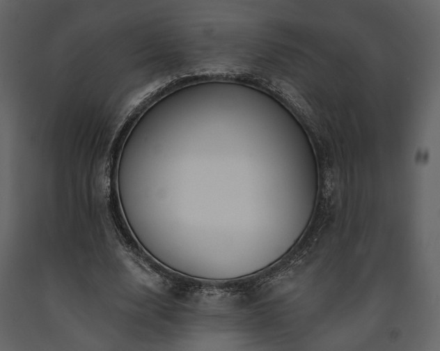 X0000091670632200708231330