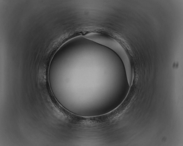 X0000091670633200708231330