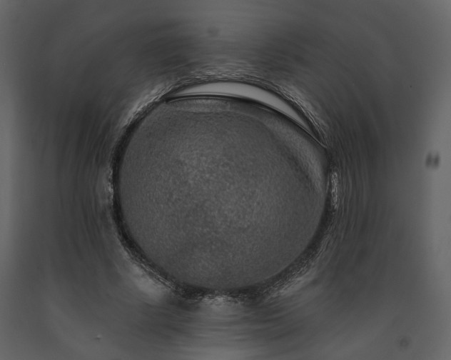 X0000091670634200708231330
