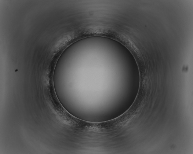 X0000091670635200708231330