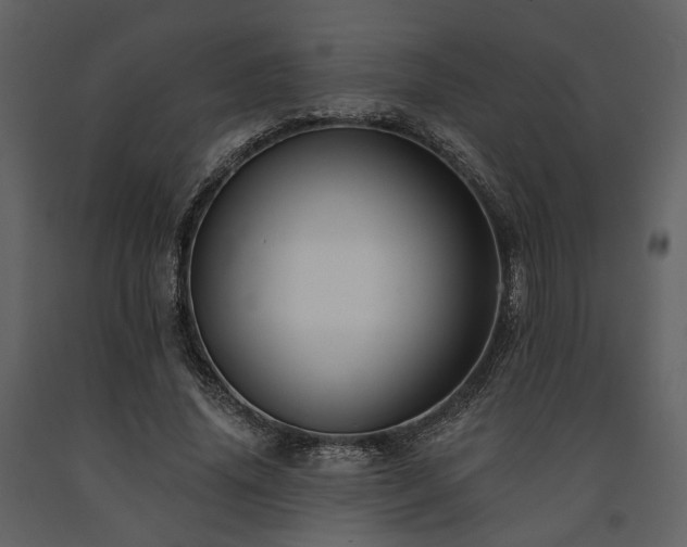 X0000091670636200708231330