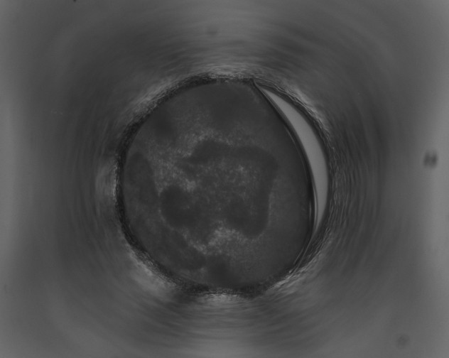 X0000091670637200708231330