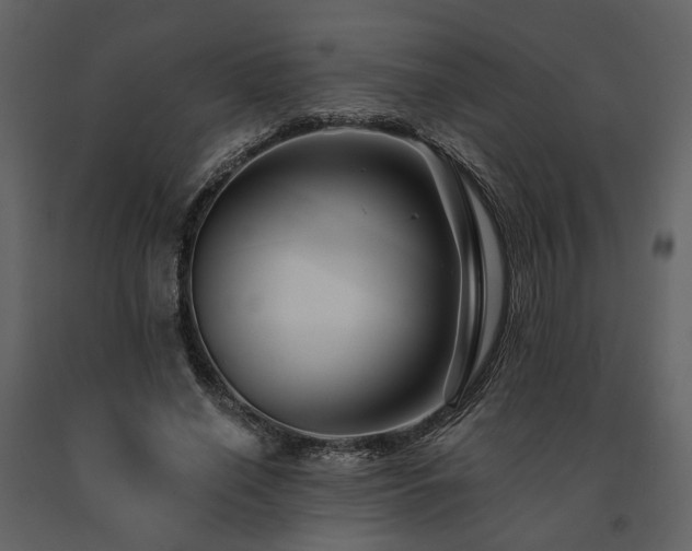 X0000091670638200708231330