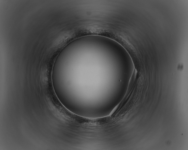 X0000091670639200708231330