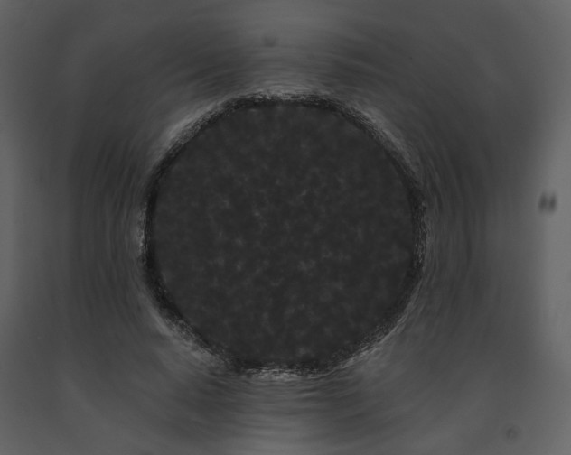 X0000091670640200708231330