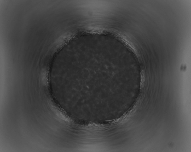 X0000091670641200708231330
