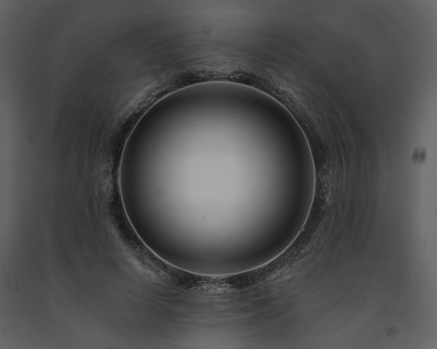 X0000091670642200708231330