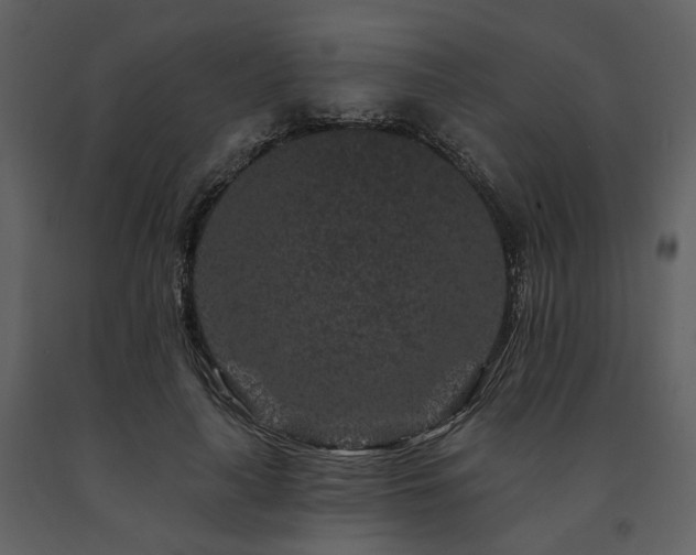 X0000091670643200708231330