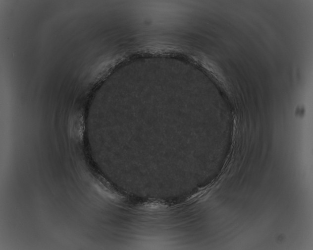 X0000091670644200708231330