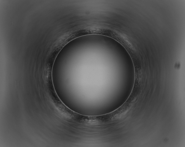 X0000091670645200708231330