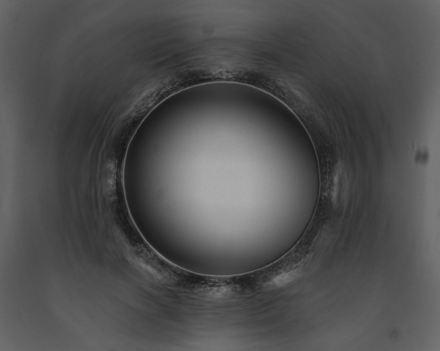 X0000091670646200708231330