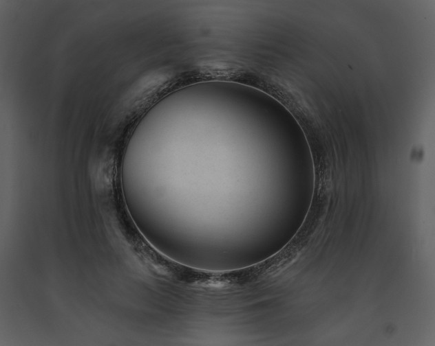 X0000091670647200708231330