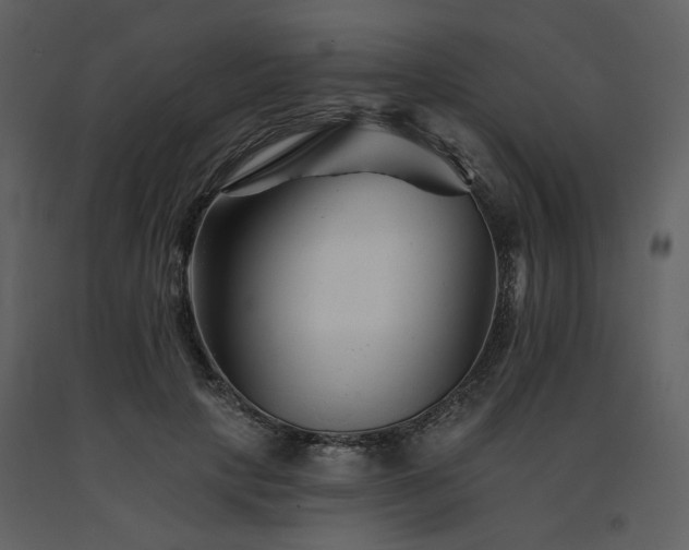 X0000091670649200708231330