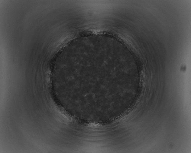 X0000091670650200708231330