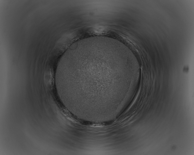 X0000091670651200708231330