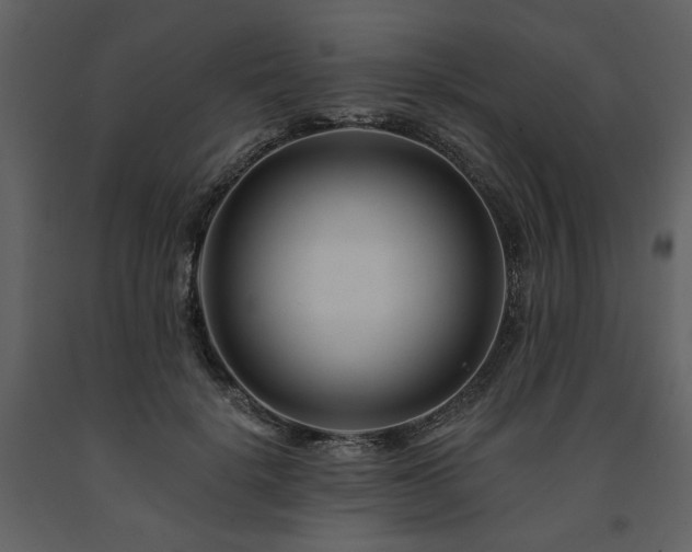 X0000091670652200708231330