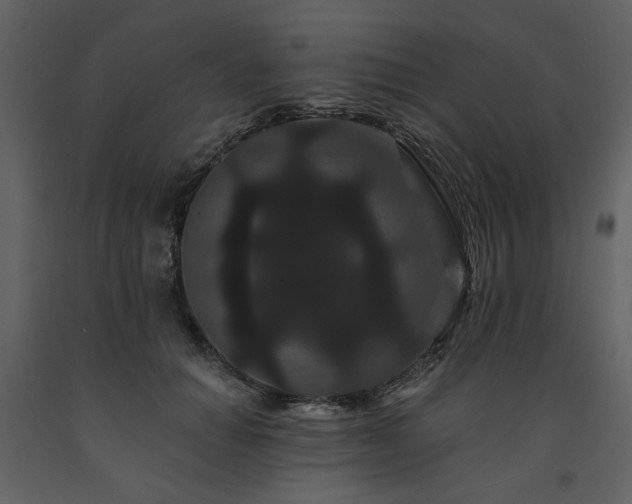 X0000091670654200708231330