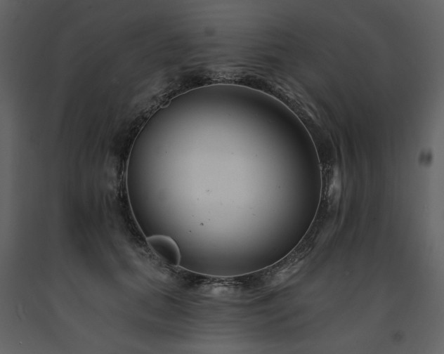 X0000091670655200708231330