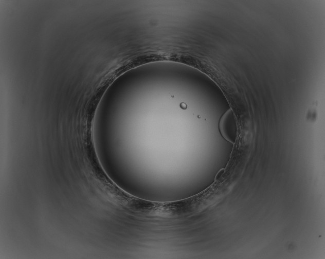 X0000091670656200708231330