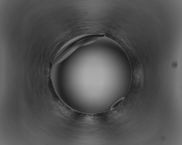 X0000091670657200708231330