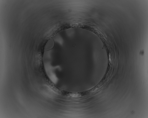 X0000091670659200708231330