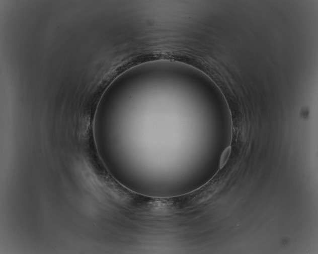 X0000091670660200708231330