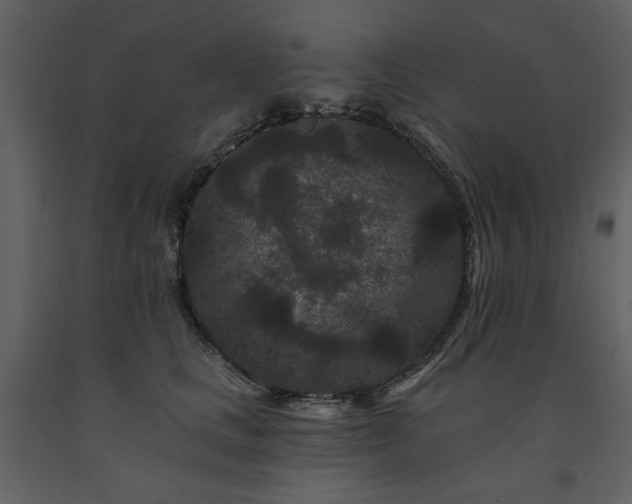 X0000091670661200708231330