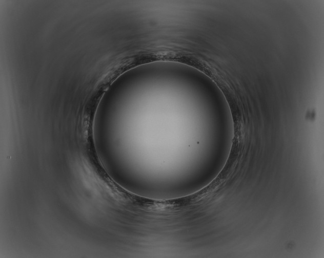 X0000091670664200708231330
