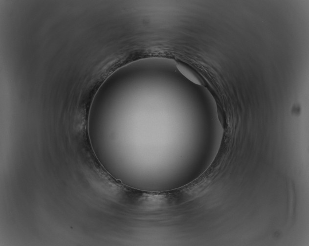 X0000091670665200708231330