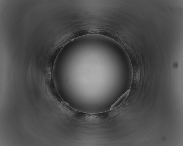 X0000091670666200708231330