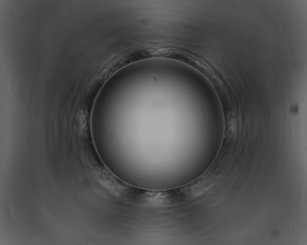X0000091670667200708231330