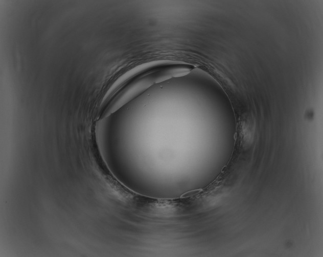 X0000091670668200708231330