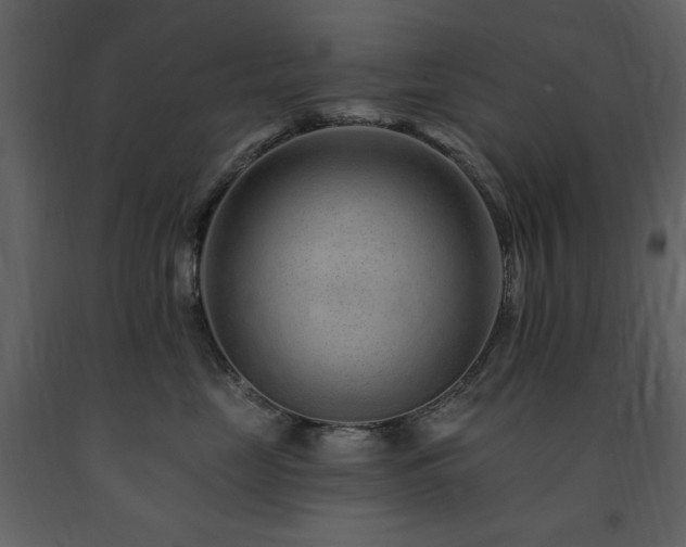 X0000091670669200708231330