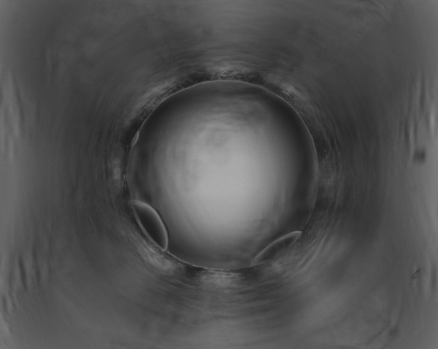 X0000091670670200708231330