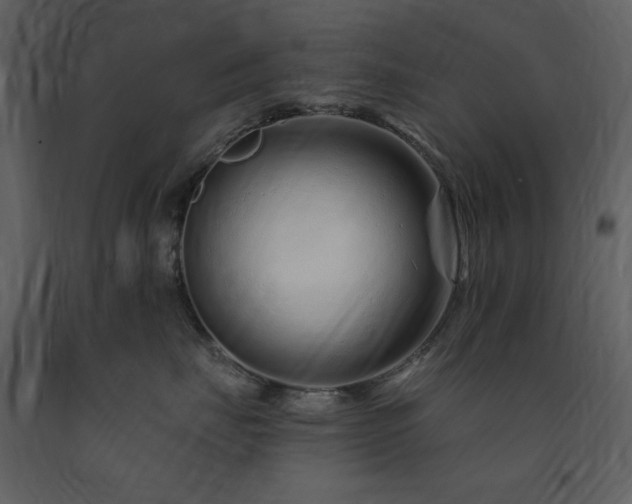 X0000091670671200708231330