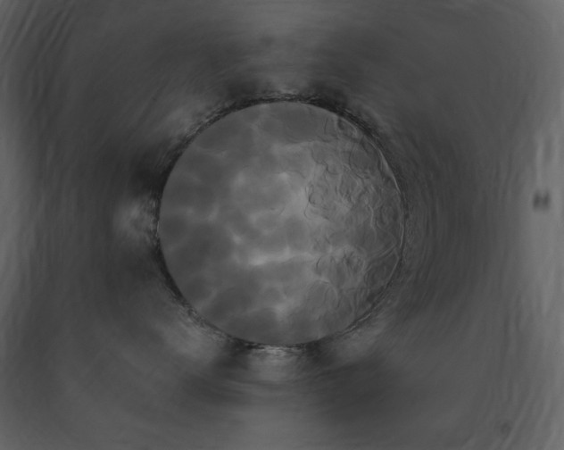 X0000091670672200708231330
