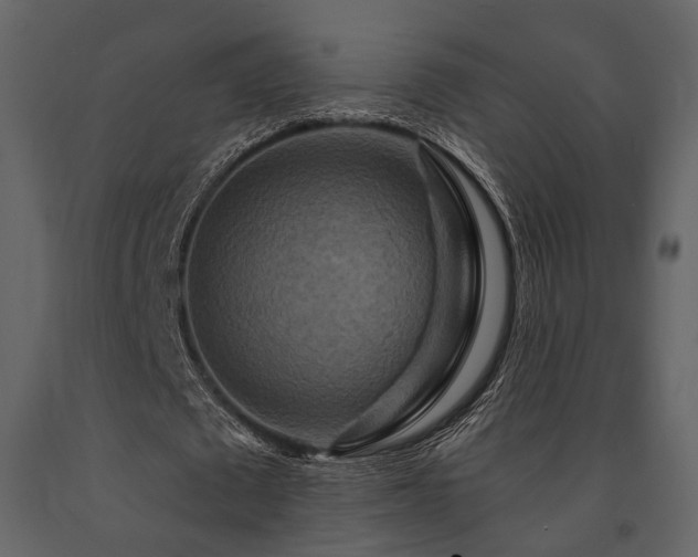 X0000091670673200708231330