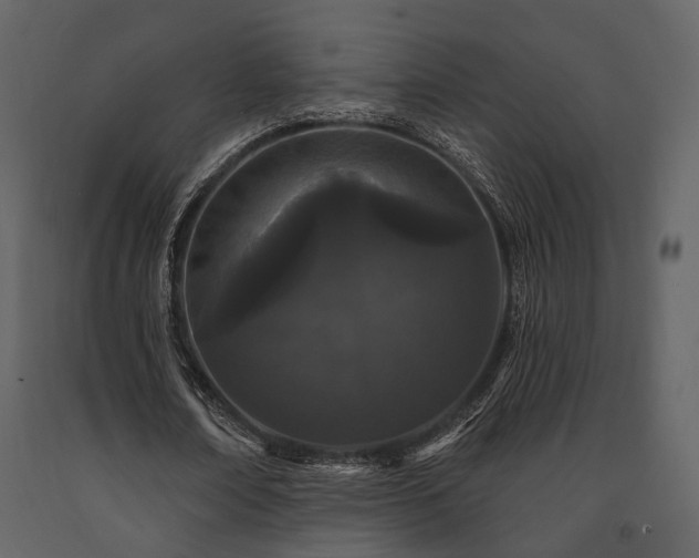 X0000091670674200708231330